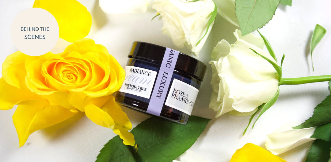 Radiance Cream with Rose & Frankincense - Behind The Scenes